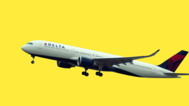 Delta Flight DL275 Diverted LAX
